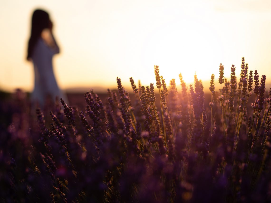 provence