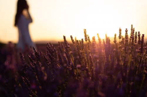 provence