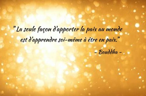 citation bouddha