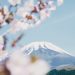 photo japon zen reiki