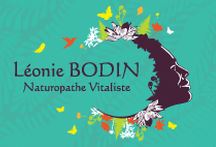 logo_bodin