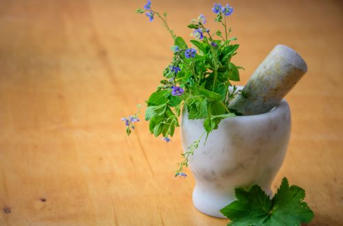 naturopathie pilon
