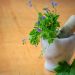naturopathie pilon
