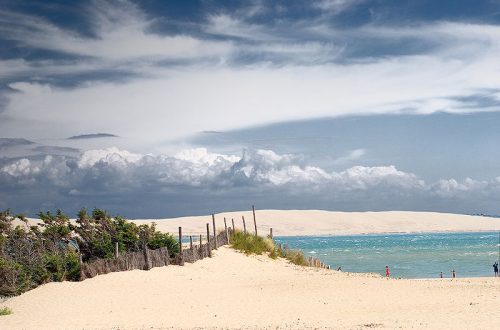 photo cap ferret