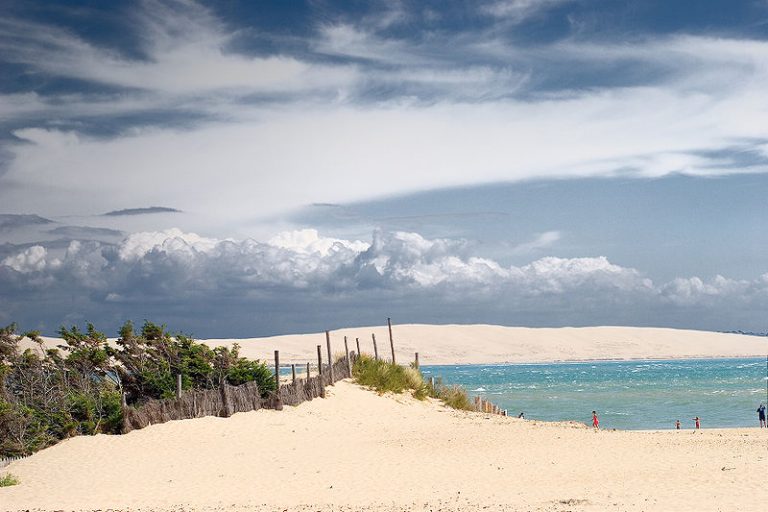 photo cap ferret