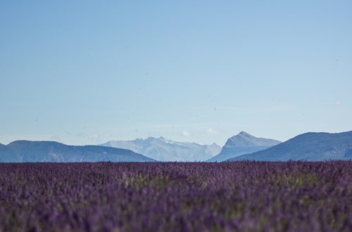 photo Provence Drôme zen