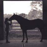 photo cheval