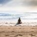 zen plage