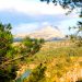 paysage barba