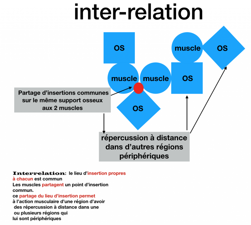 Joël Tougourneau schema inter-relation