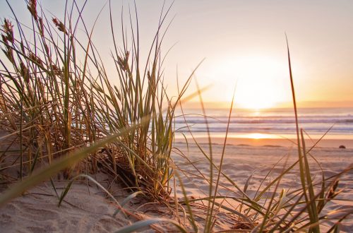 photo plage soleil