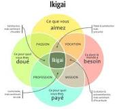 schema ikigai