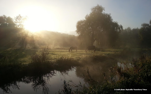 photo paysage Pays d’Ouche