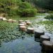 jardin Corinne Allemoz