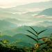 photo paysage de chine