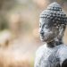 photo buddha zen