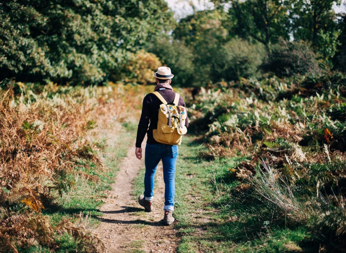 homme marche foret