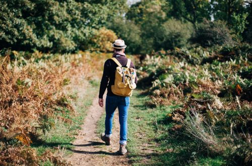 homme marche foret