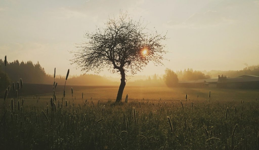 photo paysage matin campagne