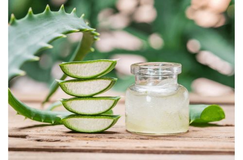 aloe vera couverture