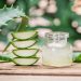 aloe vera couverture