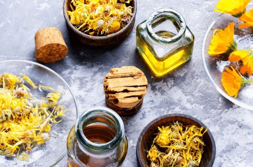couverture Naturopathie