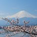 mont fuji