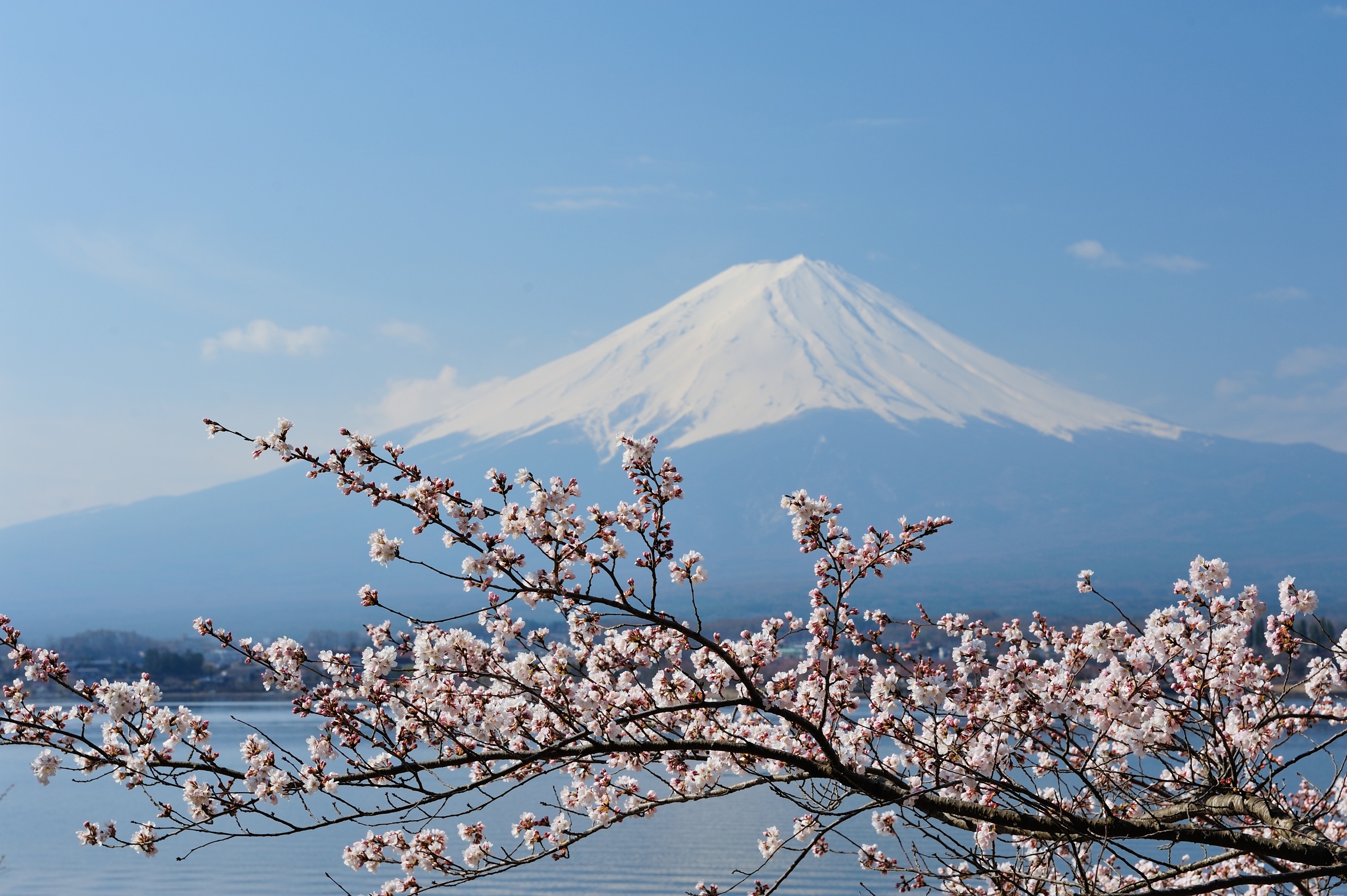 mont fuji