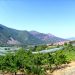 Remollon