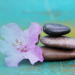 cailloux fleur zen