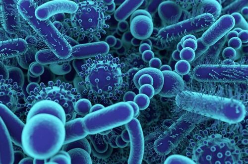 microbiote