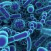 microbiote