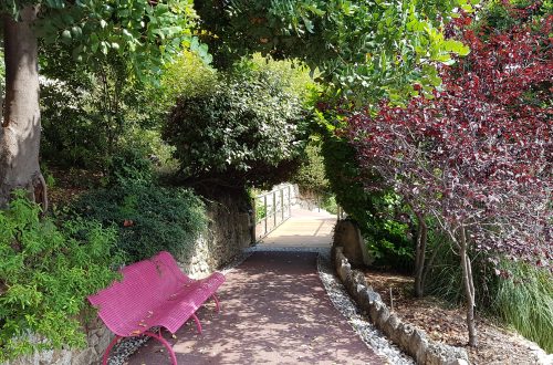 chemin parc