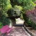 chemin parc