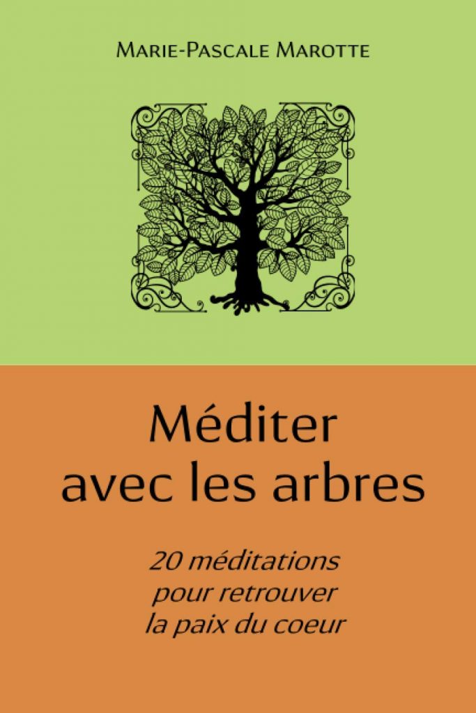 Couverture livre Méditer avec les arbres