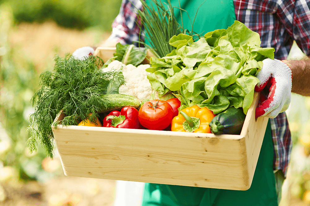 alimentation-saine-2