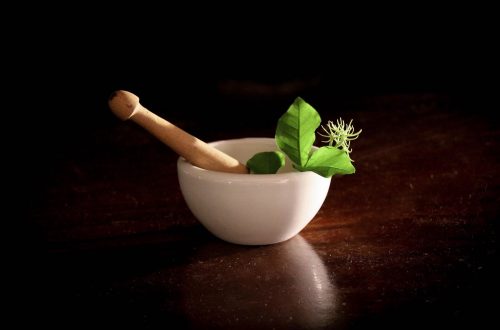 definition-et-utilisations-de-la-phytotherapie
