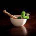 definition-et-utilisations-de-la-phytotherapie