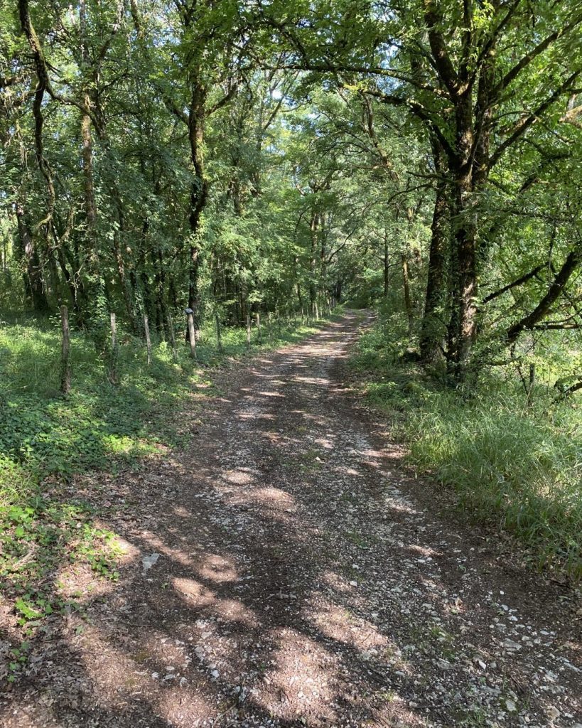 chemin du limousin