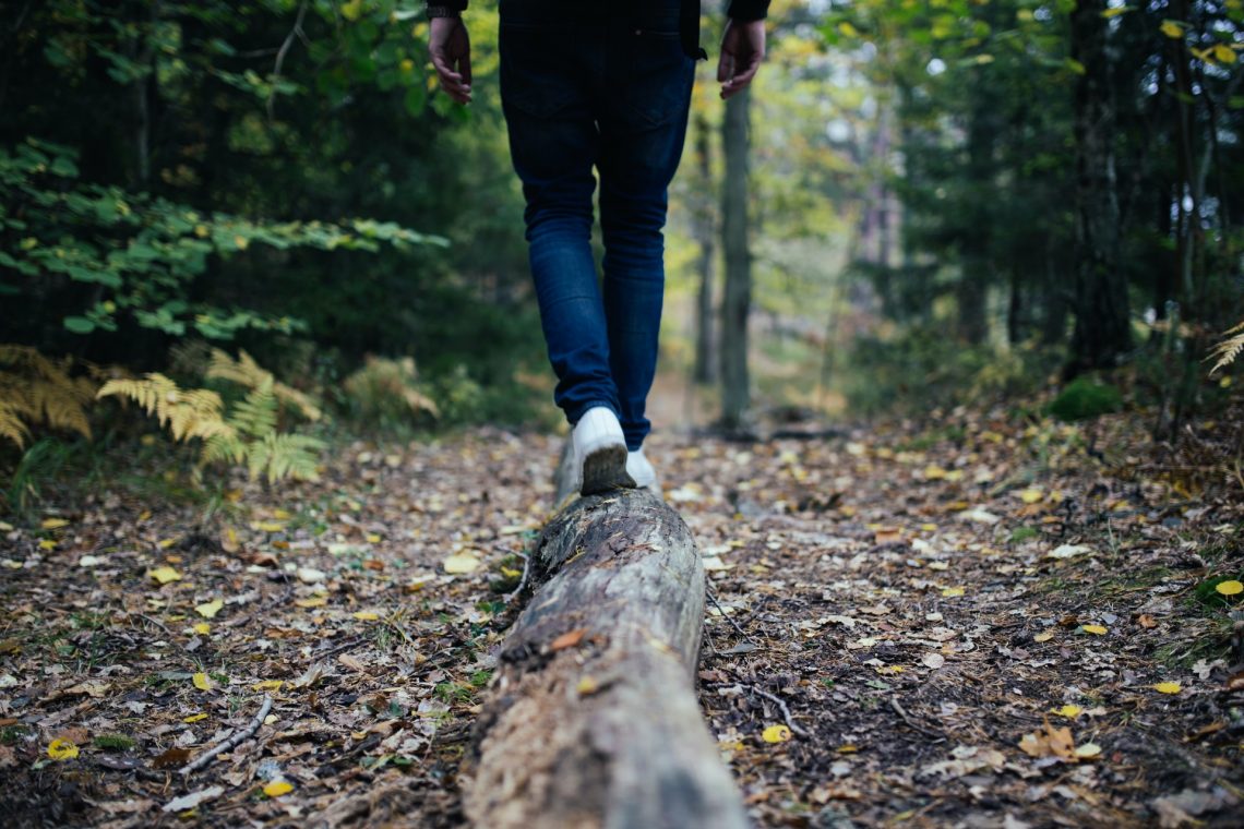 homme marche foret