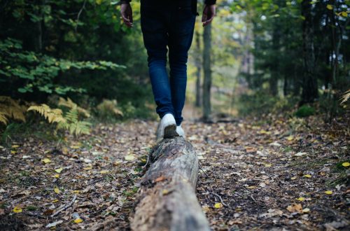 homme marche foret