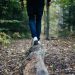 homme marche foret