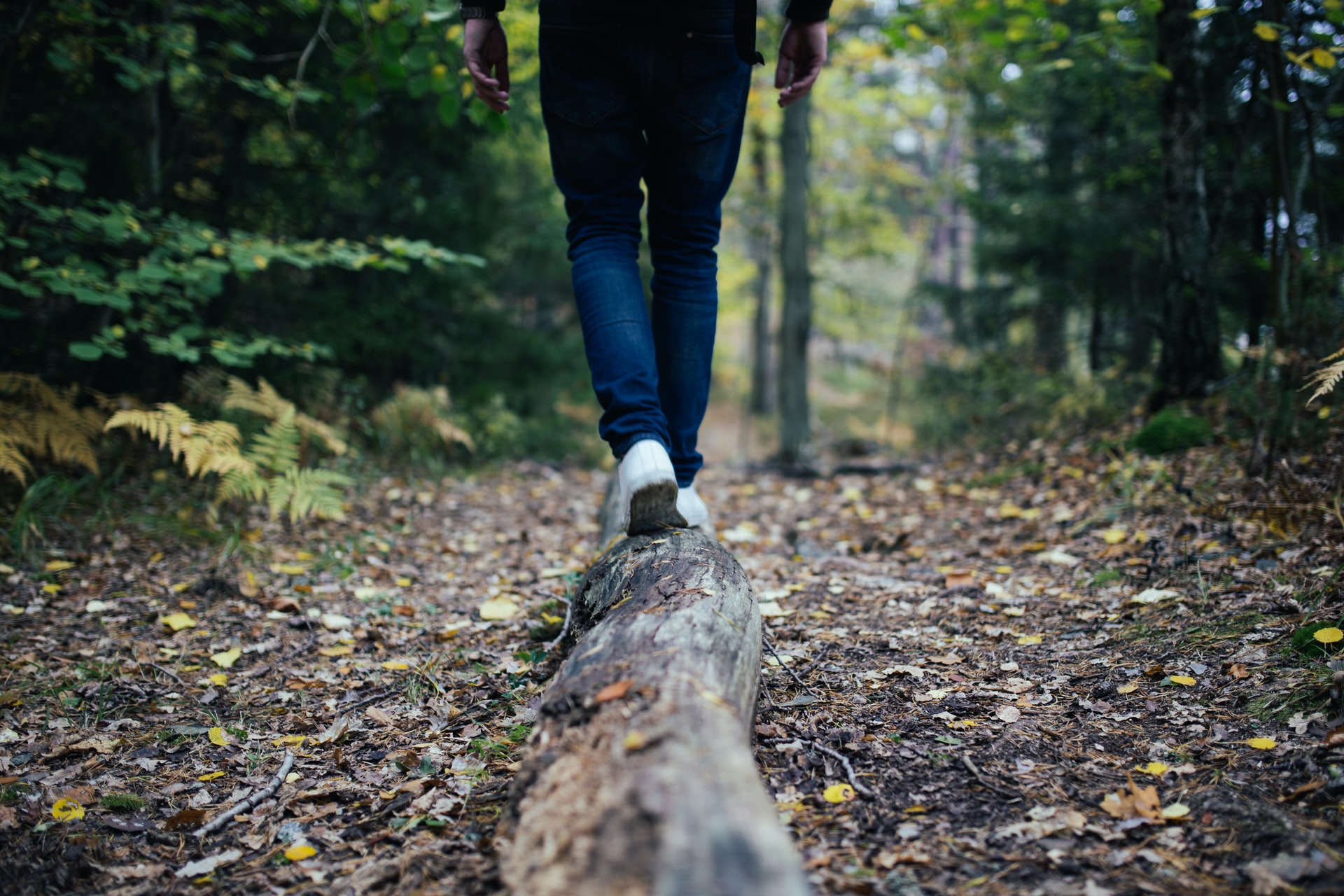 homme marche foret