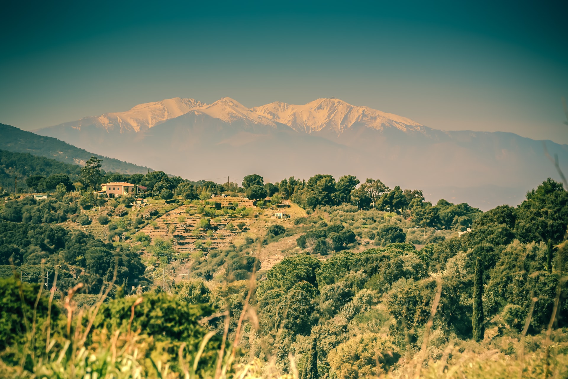 canigou