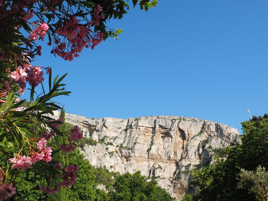 falaise vaucluse nature