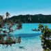 arbres verts sous le ciel bleu de corse et la plage