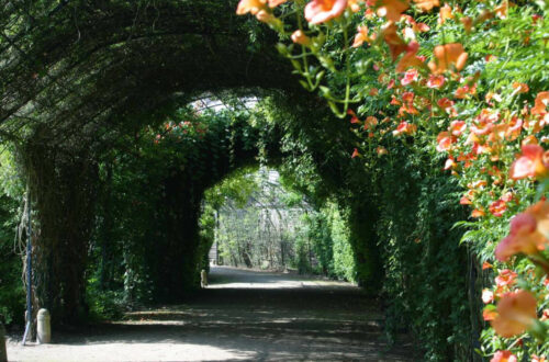 Parc du chateau de compiègne