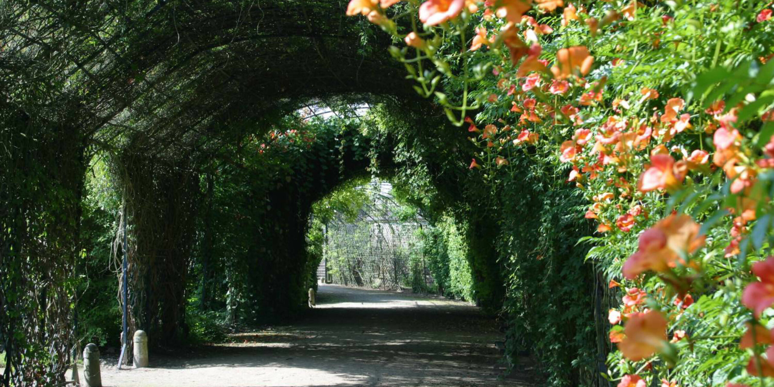 Parc du chateau de compiègne