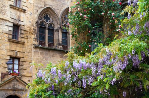ville de sarlat, périgueux noir
