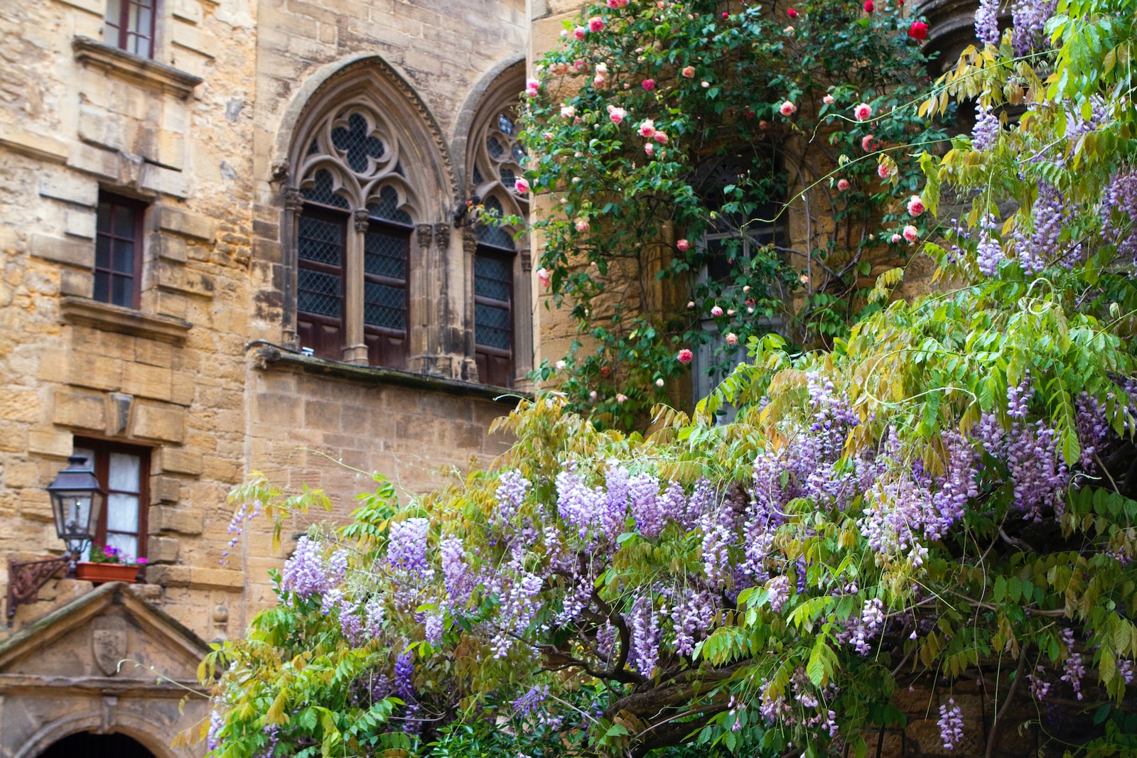 ville de sarlat, périgueux noir